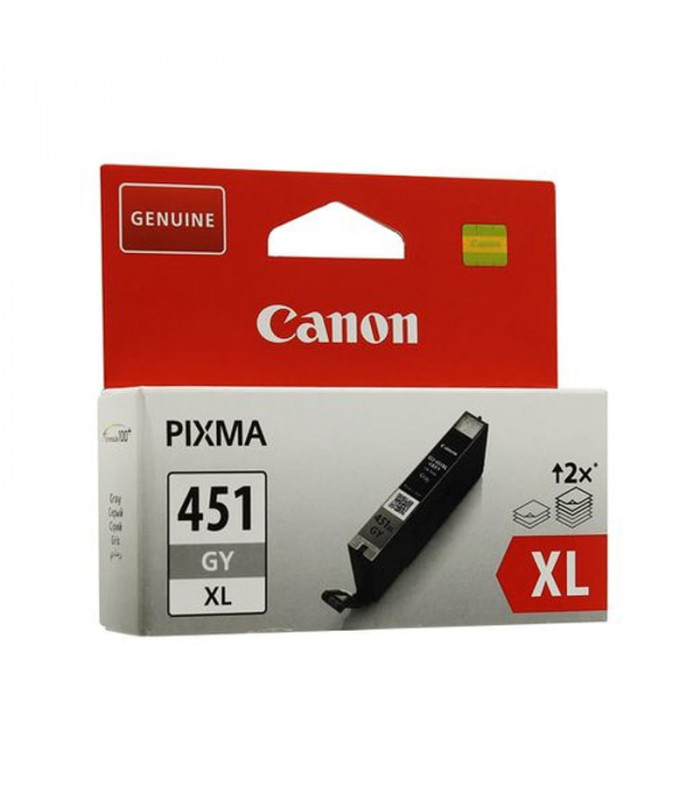 Original Canon CLI-451 XL GY Ink Cartridge